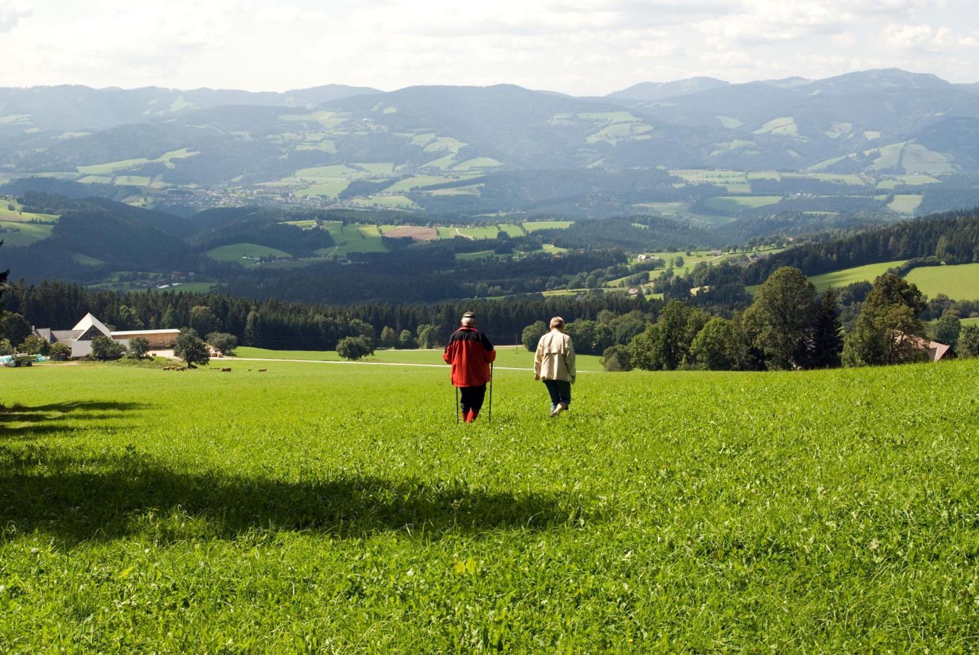 Wildwiesenhof Miesenbach  Dış mekan fotoğraf