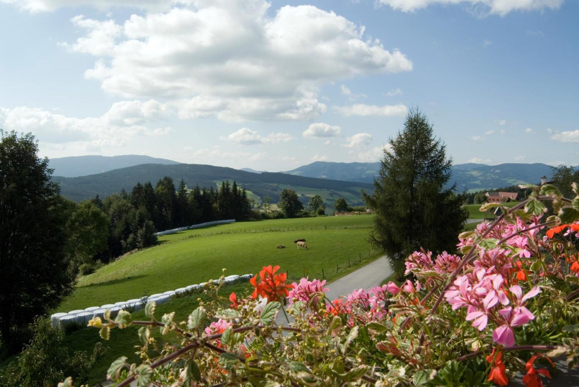 Wildwiesenhof Miesenbach  Dış mekan fotoğraf